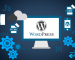 programador-wordpress